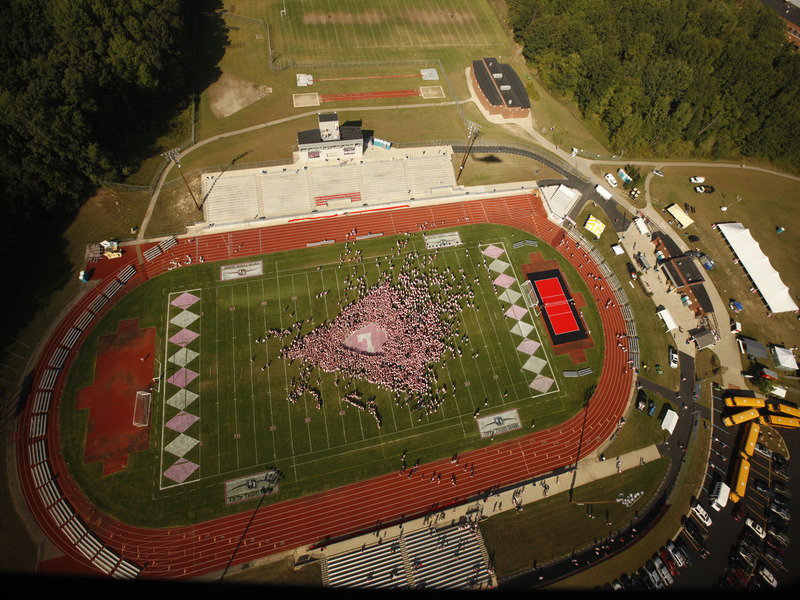 Picture of Pink Arrow Aerial View