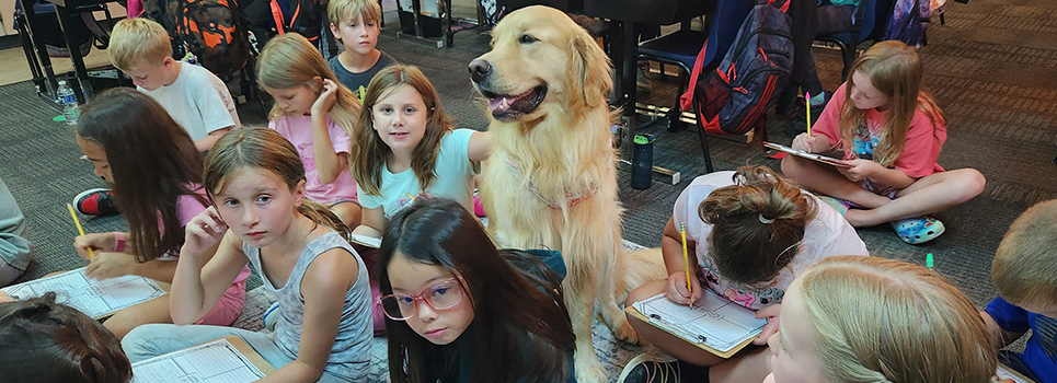 Bruno, one of our elementary school therapy dogs attends class with our students.